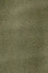 Khaki green