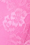 Wild orchid
