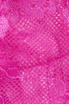 Rasberry rose