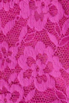 Wild orchid