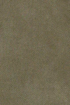 Khaki green