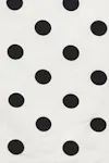 Black dot