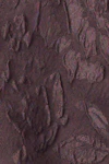 Wildorchid/pari