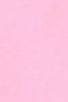 Begonia pink