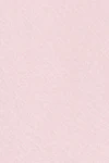 Ballet slipper