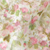 Spring rose