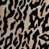 Abstract leo