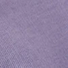 Violet tulip